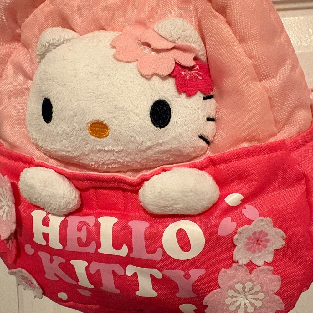 Small Hello Kitty Pink Backpack - Picture 2 of 6
